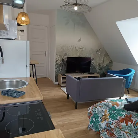 Apartment Elegant Studio ~hyper Centre~
